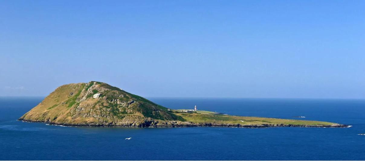 Bwthyn Gwyn Ederyn Exterior foto